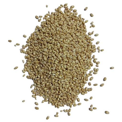  عکس یارمه